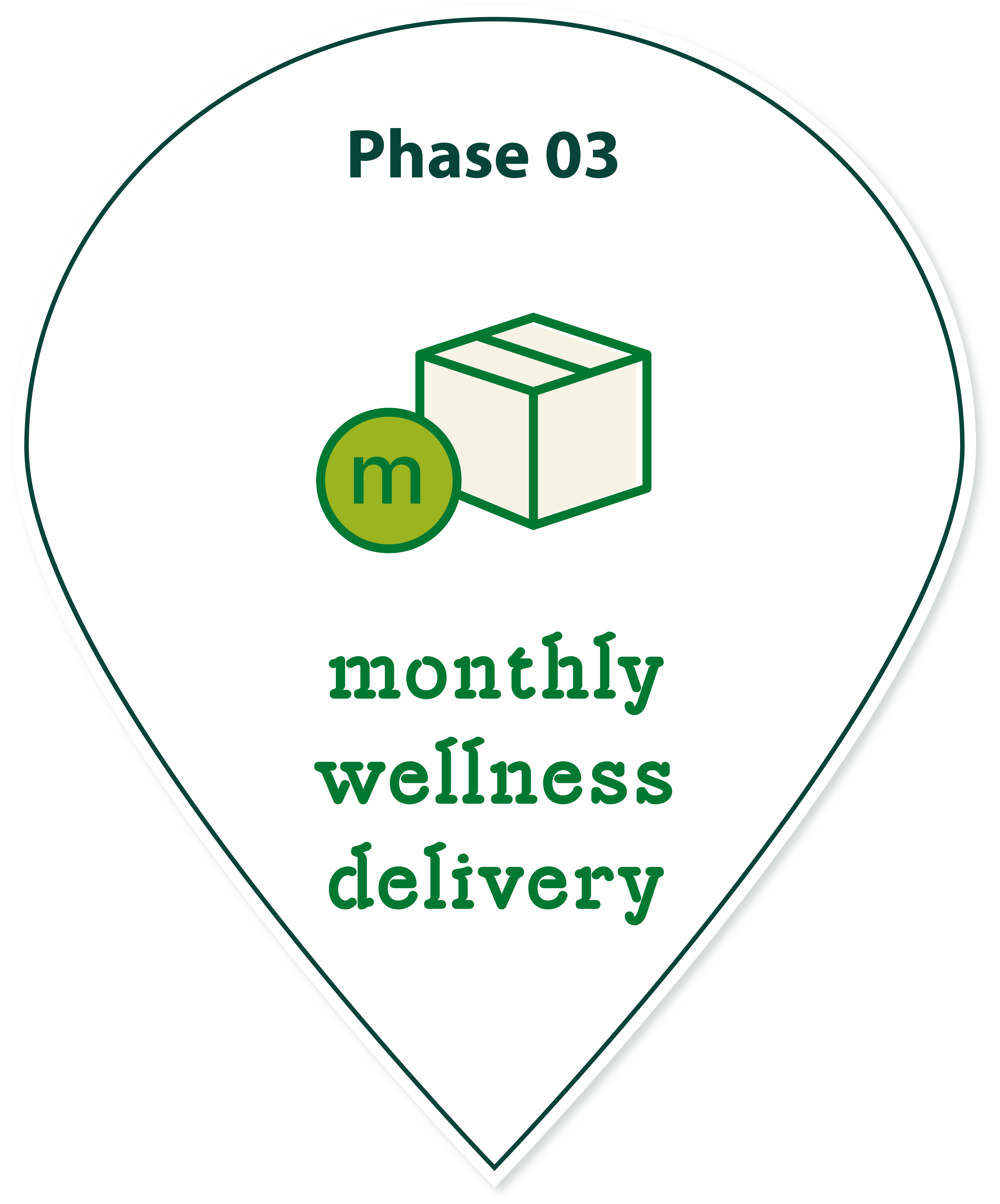 Phase 03 - monthly wellness delivery
